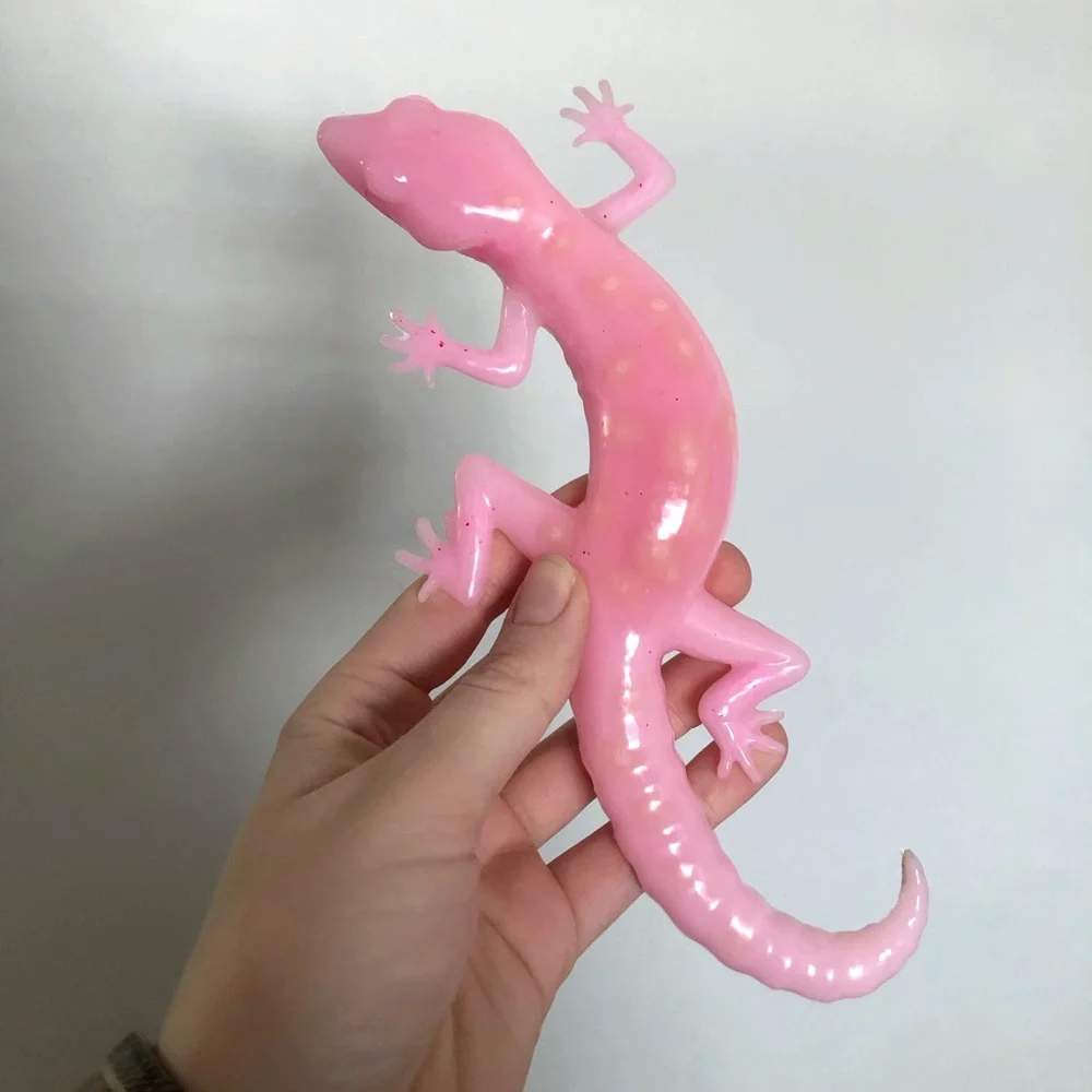 Color Changing Lizard - Picture 3 of 3
